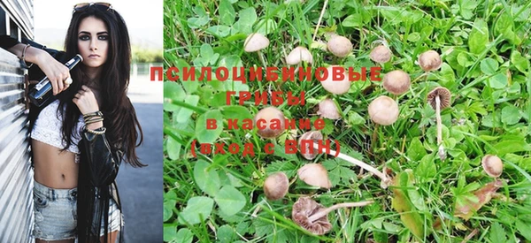 прущий лед Корсаков