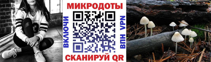 Псилоцибиновые грибы Cubensis  Купить где  Алушта 